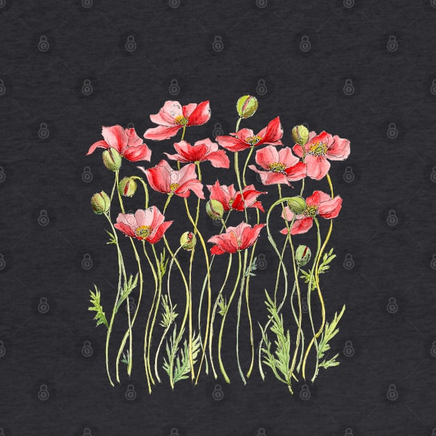 Red Poppies, Illustration by JessicaRose